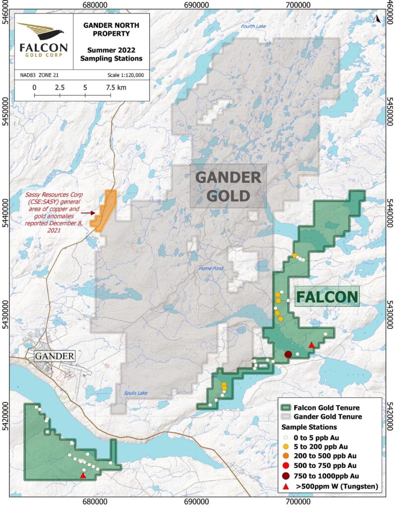 FALCON ANNOUNCES INITIAL SURFACE SAMPLING RESULTS AT GANDER NORTH AND FILING OF DRILL PERMIT Vancouver, B.C., September 15, 2022, FALCON GOLD CORP. (FG: TSX-V), (3FA: GR), (FGLDF: OTCQB); ("Falcon" or the “Company”) is pleased to announce that exploration has commenced at the Company’s 100% owned Gander North Property, with initial results now available from its reconnaissance exploration program.  The project commenced in late June, with initial prospecting and till sampling.  Preliminary efforts have identified numerous evidence for quartz veins, including subcrop and float.  Surface samples collected to date have been submitted for assay; and initial results have returned values of up to 885 ppb gold from sub cropping quartz veins, up to 0.15% copper, and up to 26.8 gpt silver from quartz float.  Several samples have returned anomalous tungsten, and further analysis is required to confirm the content.  Initial results for gold are presented in figure 1.  Multiple geophysical targets were identified over the project area earlier this year through review of publicly available datasets, and these will be the focus of ongoing reconnaissance.  Detailed work, including systematic sampling and geological mapping will commence this fall to better define targets in advance of drilling.  Work permit applications have been submitted for the drill program, and approval is pending.